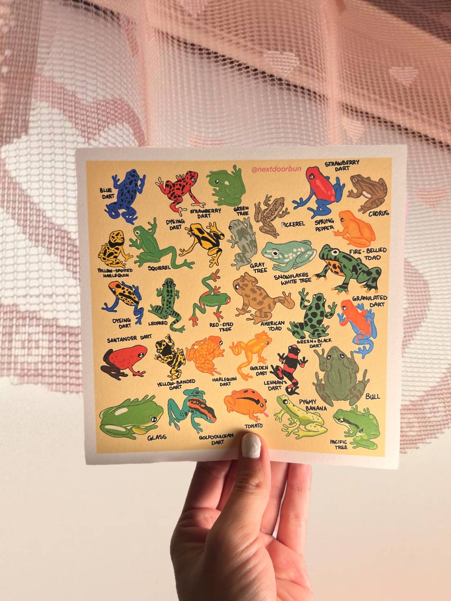 froggy guide print